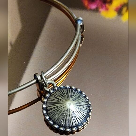 🐢 Alex and Ani Path of Symbols Expandable Bangle 2"-3.5" - Picture 5 of 7